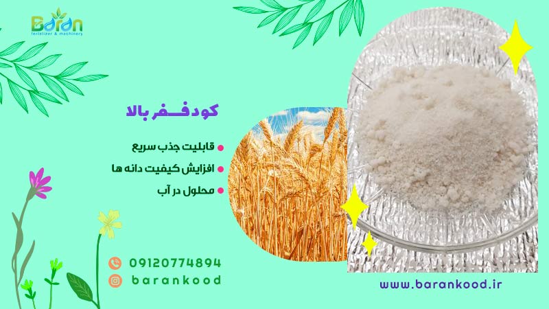 کود فسفر بالا
