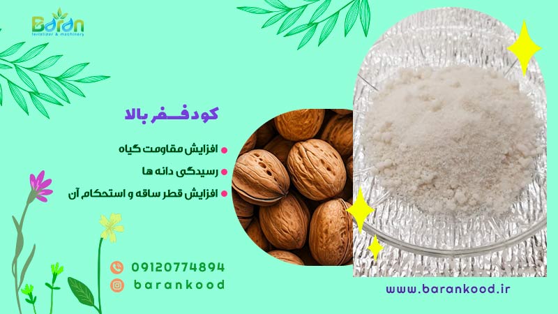کود فسفر بالا