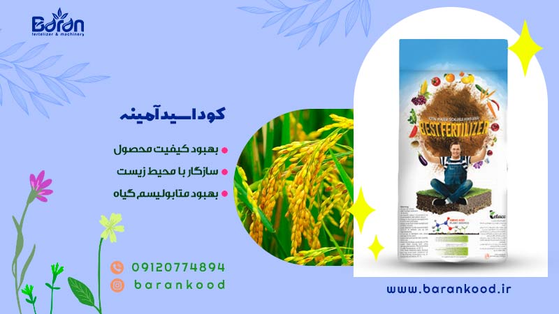 کود اسید آمینه