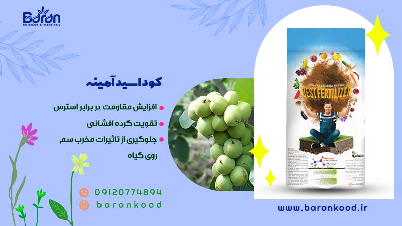 کود اسید آمینه