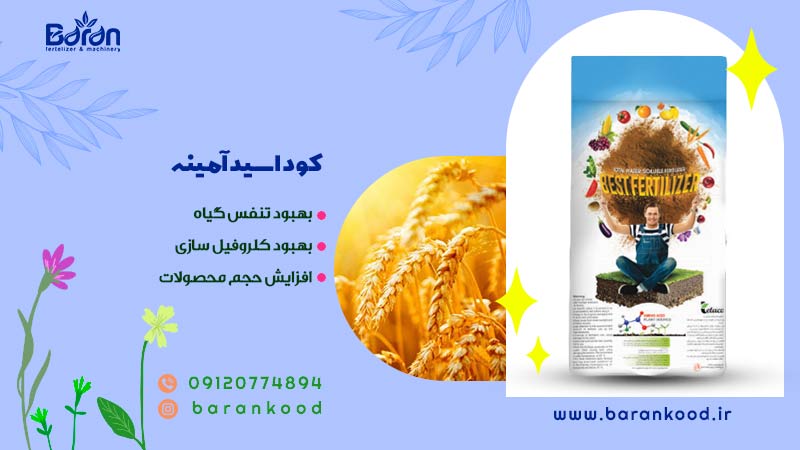 کود اسید آمینه