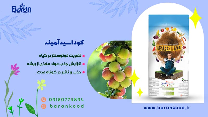 کود اسید آمینه