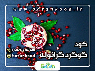 کود گوگرد گرانوله