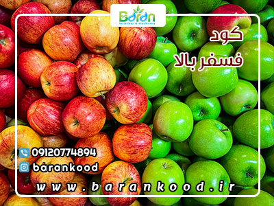 کود فسفر بالا