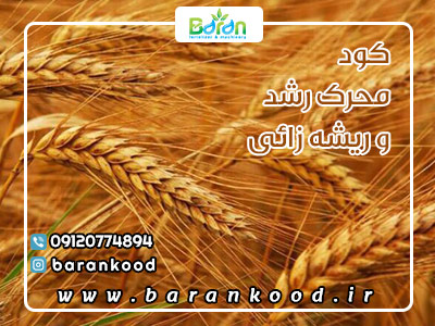 کود محرک رشد و ریشه زایی