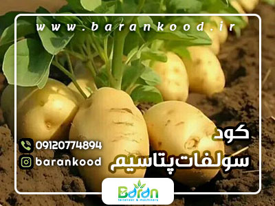 کود سولفات پتاسیم پودری