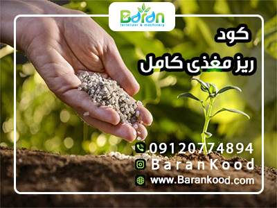 کود ریز مغزی کامل