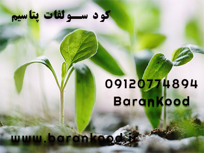 کود سولفات پتاسیم