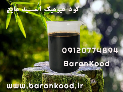 کود هیومیک اسید