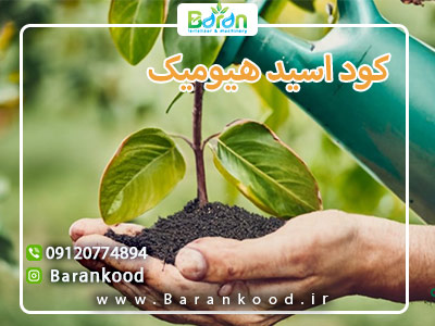 کود اسید هیومیک