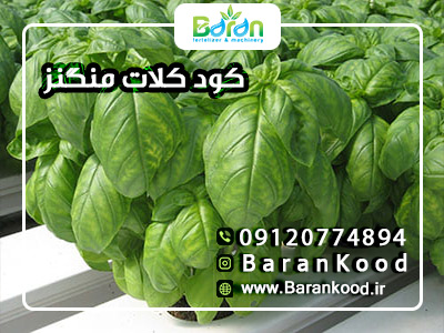 کود کلات منگنز