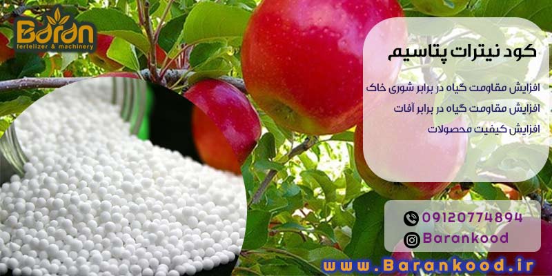 کود نیترات پتاسیم