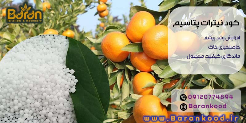کود نیترات پتاسیم