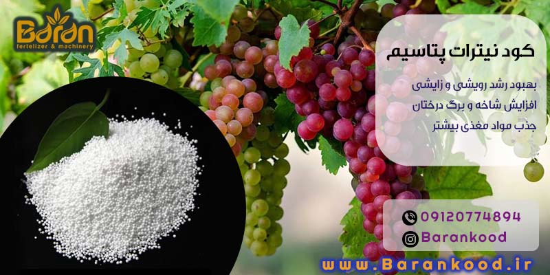 کود نیترات پتاسیم
