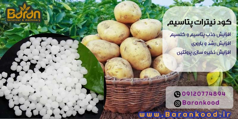 کود نیترات پتاسیم
