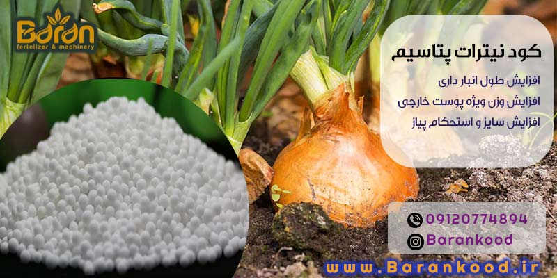 کود نیترات پتاسیم