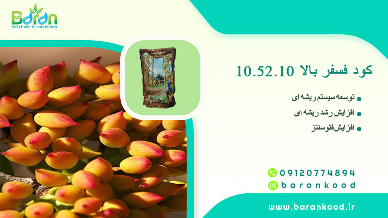 کود فسفر بالا 10.52.10 