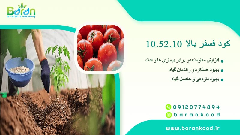 کود فسفر بالا 10.52.10 