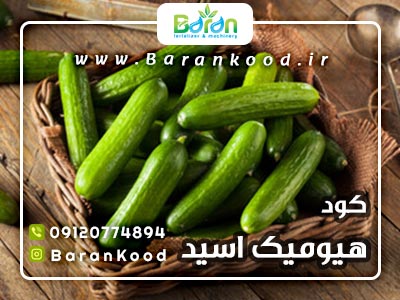 کود هیومیک اسید
