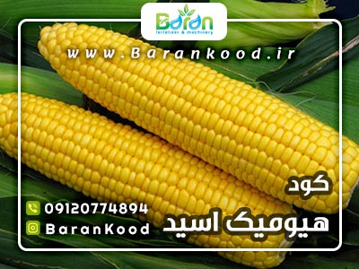کود هیومیک اسید