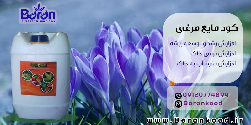 کود مایع مرغی