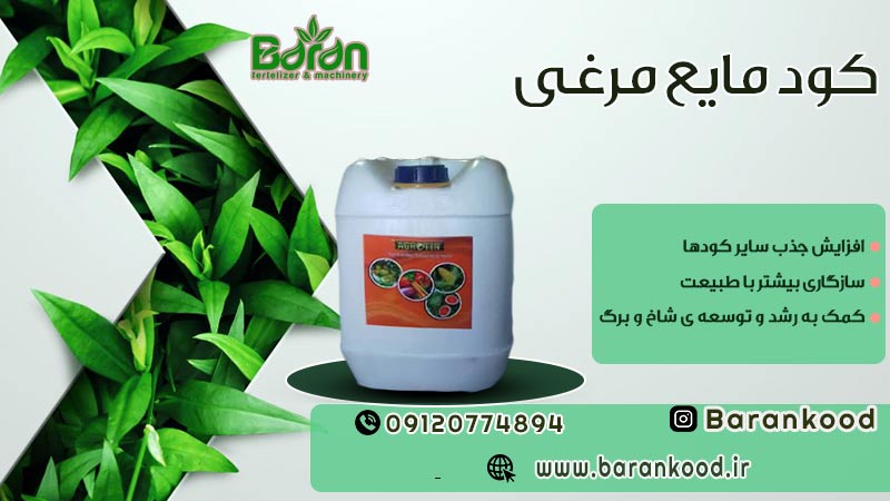 کود مایع مرغی