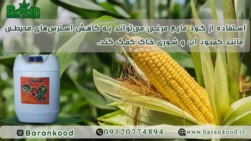 کود مایع مرغی