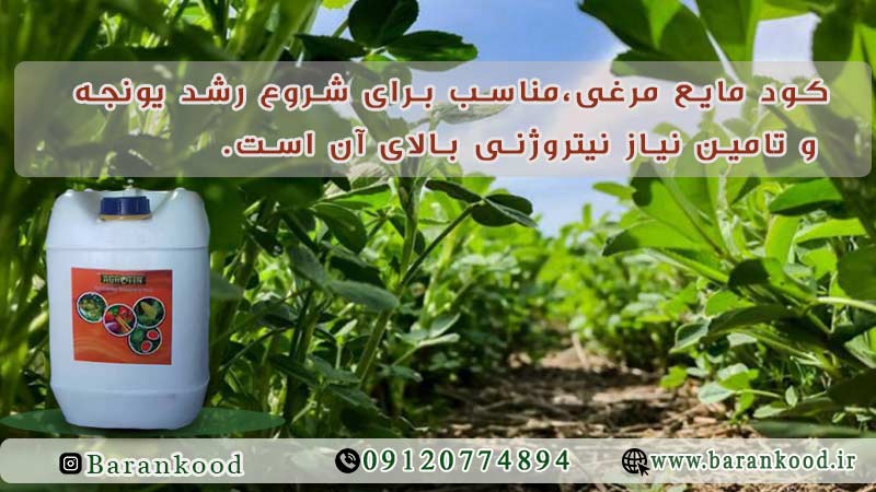 کود مایع مرغی