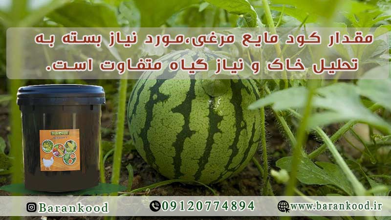 کود مایع مرغی