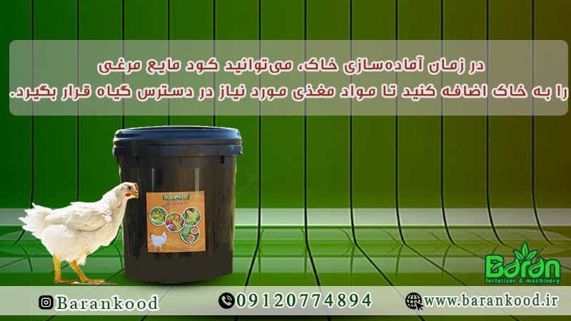 کود مایع مرغی