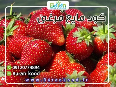 کود کلات آهن