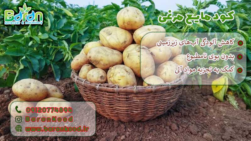 کود مایع مرغی