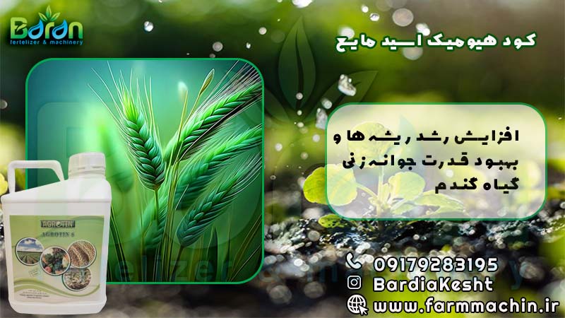 کود هیومیک اسید مایع