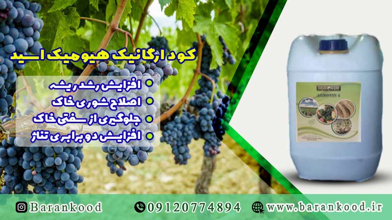 کود هیومیک اسید