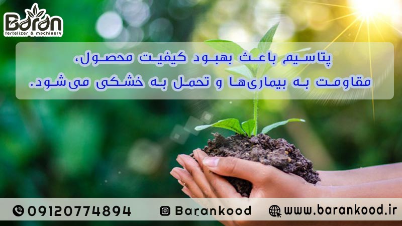 کود پلیت مرغی