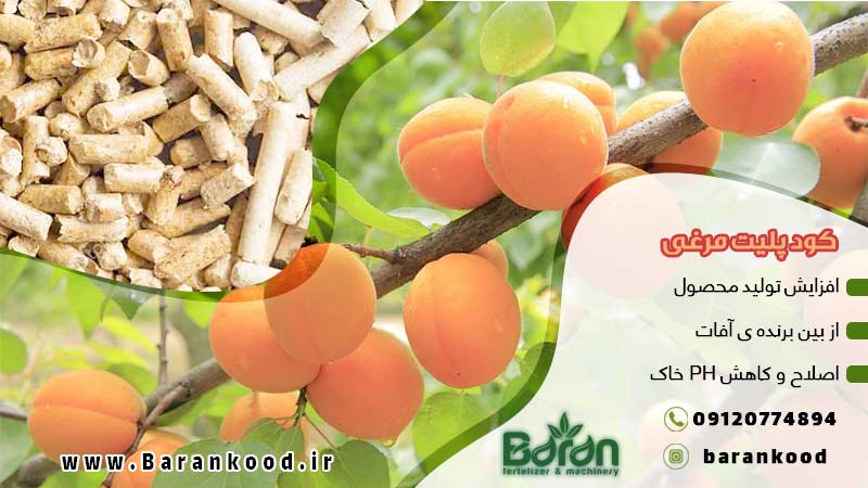 کود پلیت مرغی