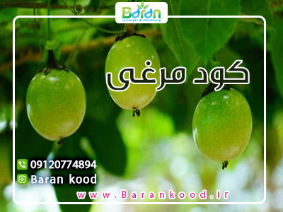 کود پلیت مرغی