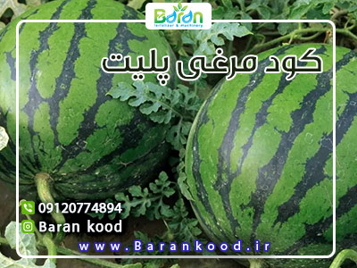 کود مرغی