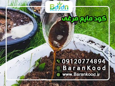 کود مایع مرغی 