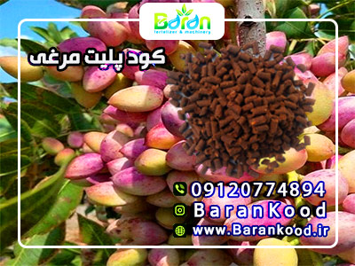 کود پلیت مرغی