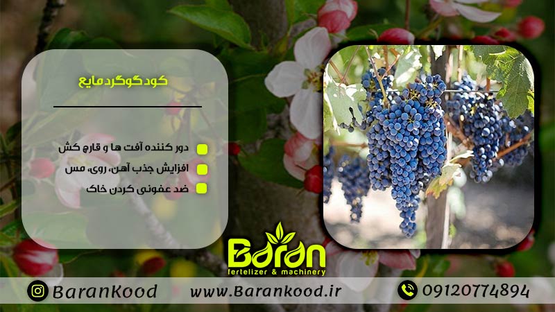 کود گوگرد مایع
