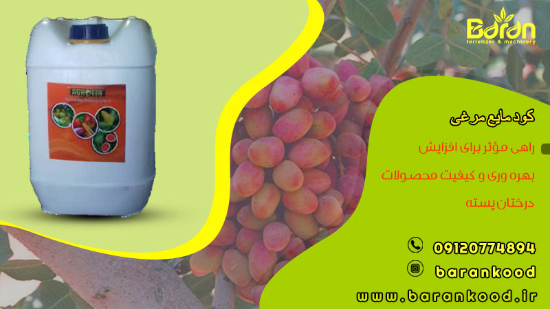 کود مایع مرغی