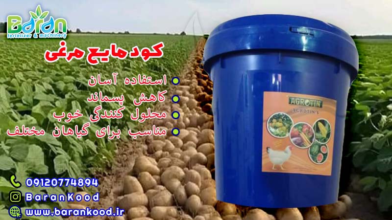 کود مایع مرغی 