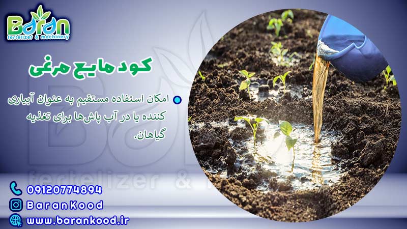 کود مایع مرغی