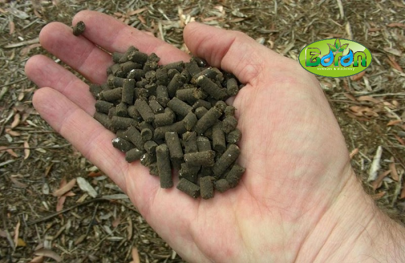 راهنمای خرید کود پلیت مرغی از باران کود