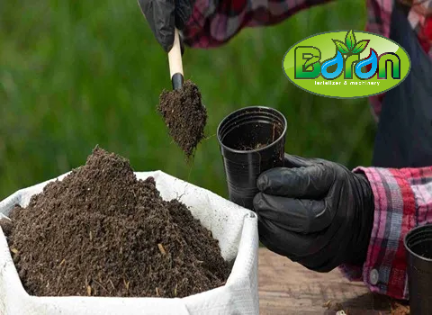 خرید عمده کود مرغی باکیفیت