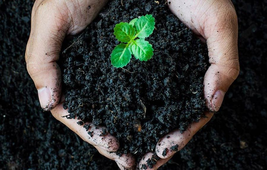 مزایای خرید اینترنتی کود هیومیک اسید