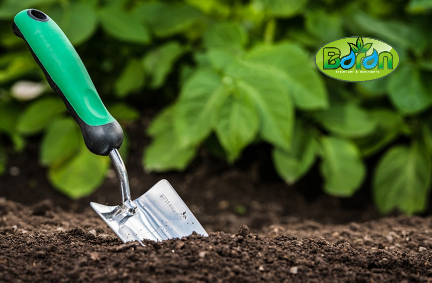 خواص کود مرغی در کشاورزی