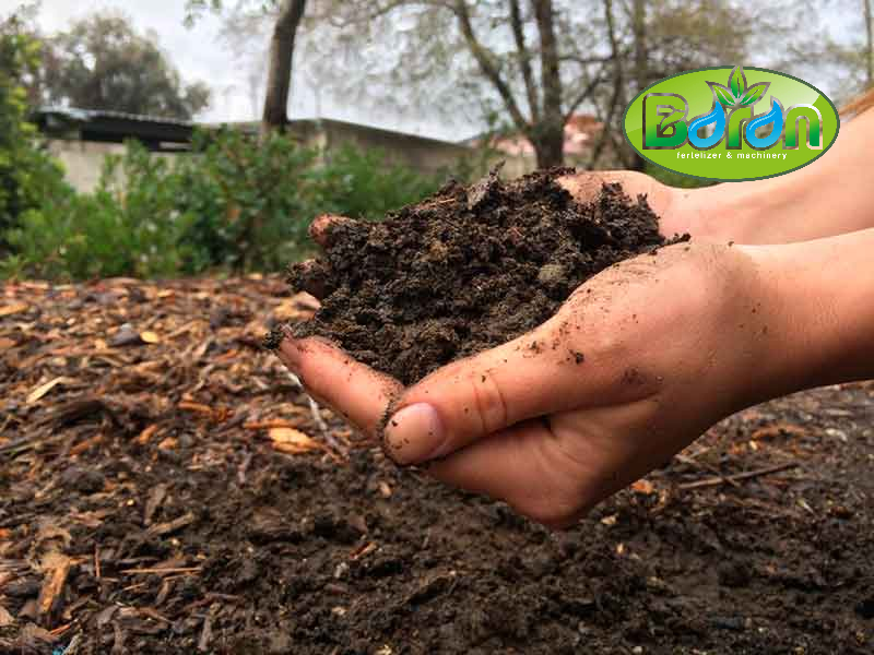 بازدهی محصولات کشاورزی با کود مرغی