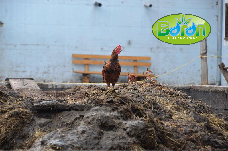 قیمت کود پلیت مرغی در بازار